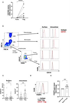 Dissecting the role of CSF2RB expression in human regulatory T cells